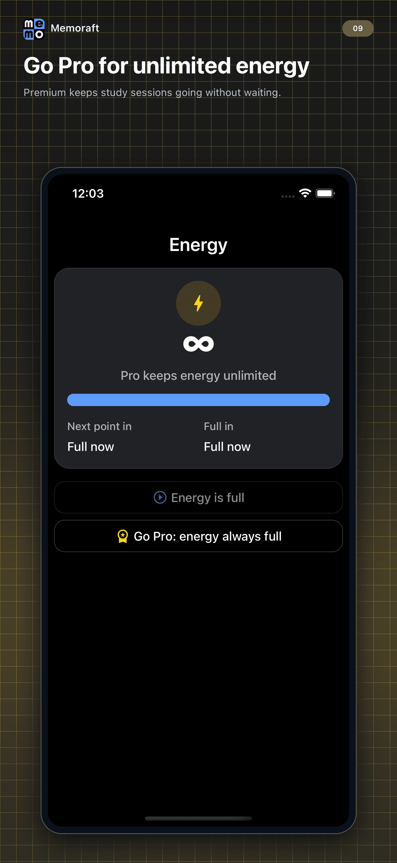 Memoraft Pro